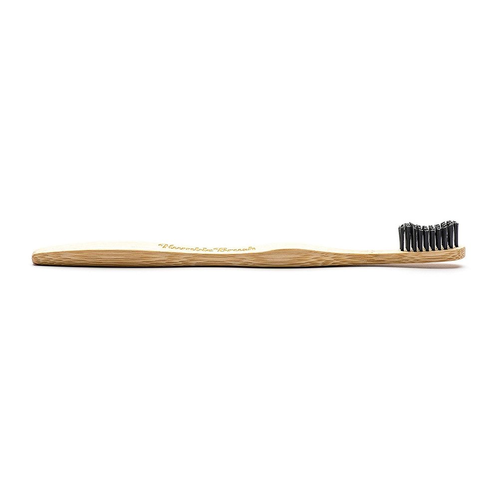 Adult Black Soft Toothbrush 1 Brush