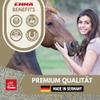 EMMA Amino acid for horses horse feed I supplement for fast supply with amino acid + vitamins, supports muscle build-up, performance & energy, before and after competitions, fast recovery, against muscle soreness 1 liter view 2