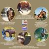 EMMA Amino acid for horses horse feed I supplement for fast supply with amino acid + vitamins, supports muscle build-up, performance & energy, before and after competitions, fast recovery, against muscle soreness 1 liter view 3