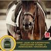 EMMA Amino acid for horses horse feed I supplement for fast supply with amino acid + vitamins, supports muscle build-up, performance & energy, before and after competitions, fast recovery, against muscle soreness 1 liter view 4