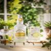 Fentimans Premium Indian Tonic Water 500ml view 2