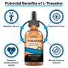 MAX Absorption Liquid L-Theanine Drops | All Natural, Vegan, Alcohol Free, Non-GMO | for Stress Relief, Relaxation, Focus Without Drowsiness | Synergistic with Coffee or Caffeine view 4