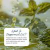 Zipvit Peppermint Oil Capsules 150mg, 180 Peppermint Capsules view 2