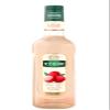 Teisseire Lychee Syrup Special Barman - 70cl view 1