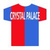 144 Edible T Shirt Decorations - Great for Crystal Palace Fans - Perfectly pre-Cut Wafer just pop Them Out The Packaging and top Them on Your Cake - Bulk Pack of 144 - by CDA Products Ltd view 2
