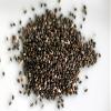 Chia Seeds Whole Natural Dark (High in Iron & Calcium) Free UK P&P (50g) view 1