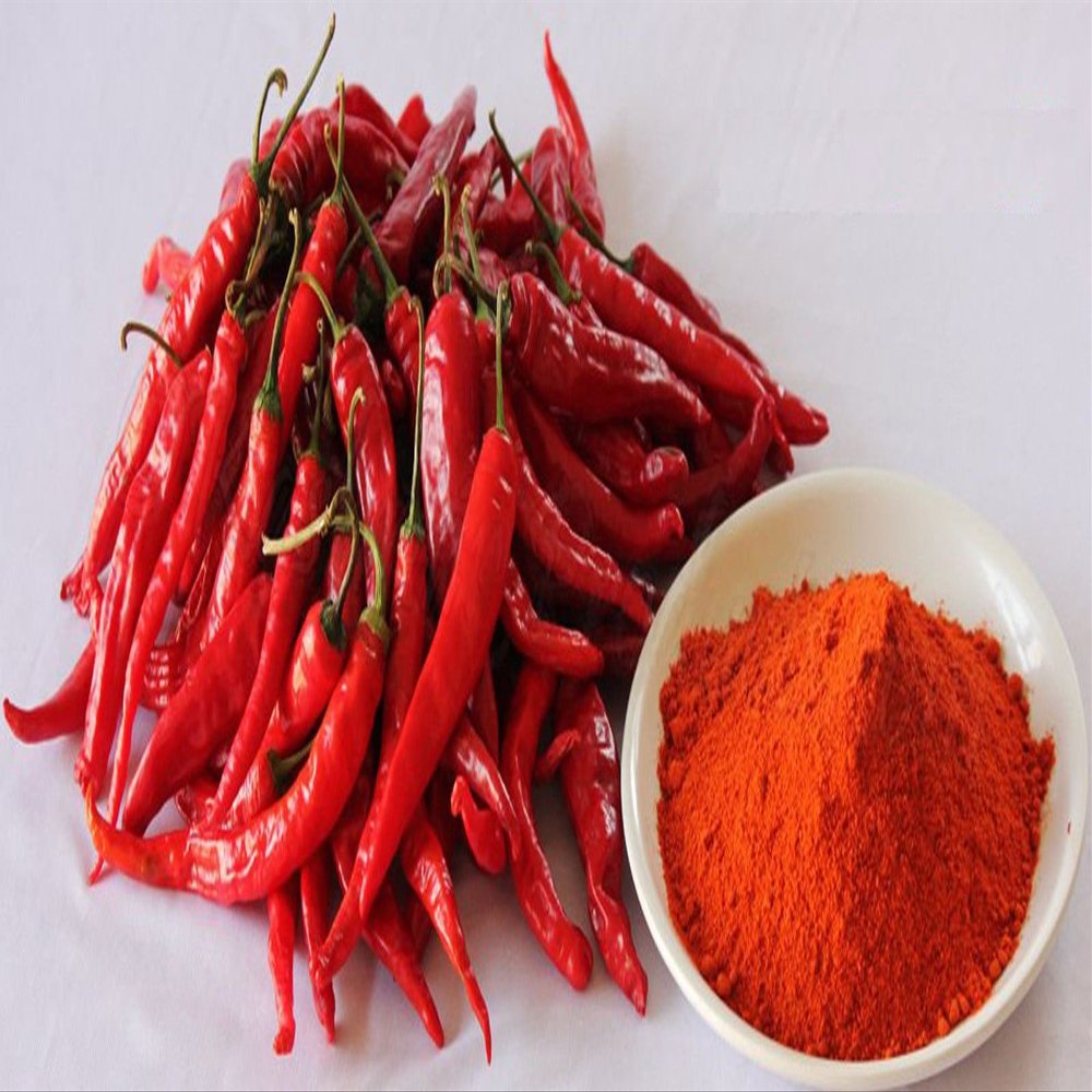 50g | Pure Kashmiri Ground Chilli Powder (50g)