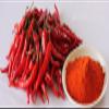 50g | Pure Kashmiri Ground Chilli Powder (50g) view 1