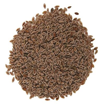 Psyllium Seeds Colon IBS Detox - Natural Fibre Free UK P&P (950g)