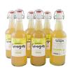 Box of 6 Units of Premium Kombucha Tea: 6 x Kombucha Ginger Tea (Ginger and Apple)  750 ml view 1