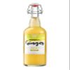 Box of 6 Units of Premium Kombucha Tea: 6 x Kombucha Ginger Tea (Ginger and Apple)  750 ml view 2