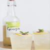 Box of 6 Units of Premium Kombucha Tea: 6 x Kombucha Ginger Tea (Ginger and Apple)  750 ml view 3