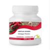 Cider Vinegar Pectin 500mg Health Food Supplement Vitamins 30 Tablets Pills Nutrition Supplements Britain Quality in Bottlles HEALTHY MOOD UK view 1