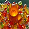 Powdered Beef Gelatine - 250 Bloom - 200g view 3