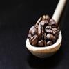 Coffee Globetrotter - Real Rarities India Plantation AA 500g (Coarsely Ground - Rarities Premium Coffee - Become an Explorer! view 3