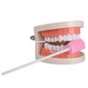 (50 Pack) Disposable Oral Swabs, Sterile Dental Sponge Swabsticks Unflavored for Mouth & Gum Cleaning view 4