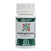 EQUISALUD Holofit Arabinogalactane 50 Capsules view 1