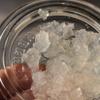 40g of Certified Organic Live Water Kefir Grains from RawCultures Live and organically Grown Water Kefir view 2
