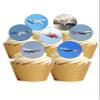 24 Precut Aeroplane Plane Jet Air Travel Themed Edible Wafer Paper Cake Toppers Decorations - 8 different planes view 1