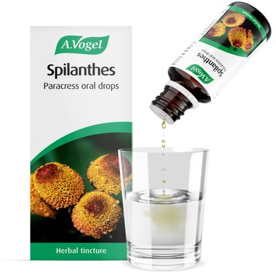 A.Vogel Spilanthes Paracress Drops | Extract of Organically Grown Spilanthes Oleracea | Suitable for Vegans | 50ml