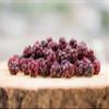 BRIX, GROWN FOR FLAVOUR - Freeze Dried Wild BlackBerry (95g) - Crispy & Delicious Healthy Snack, 100% Natural, Vitamins Retained view 3