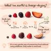 BRIX, GROWN FOR FLAVOUR - Freeze Dried Wild BlackBerry (95g) - Crispy & Delicious Healthy Snack, 100% Natural, Vitamins Retained view 4