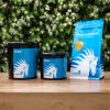 PharmaHorse BCAA | with three essential amino acids | Powerful dosage | No added sugar | 100% Doping-free | 3000 grams view 2