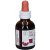 Erbenobili Fitomater Birch 50ml 1 Unit 50g view 1