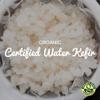 Freshly Fermented - 20g of Organic Certified Water Kefir Grains view 2