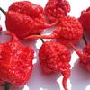 Carolina Reaper Chilli Mash 1kg (Highly Concentrated) view 3