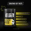 ESN Creatine Giga Caps, 300 Capsules, 0.77 lbs, 100 Servings Creatine Monohydrate - Vegan - Made in Germany, Laboratory Tested view 3