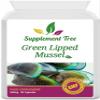 Green Lipped Mussel 500mg 90 Capsules | New Zealand Sourced GLM Powder Supplement | Pure Non-GMO, Additives Free, Without Any Fillers or Binders | UK Manufactured view 1