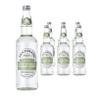 Fentimans Gently Sparkling Elderflower - Botanically Brewed Drink - Exquisitely Crafted & Refreshing Soft Drinks - Gluten-Free and Vegan Friendly Soft Drinks - 6 x 750 ml Bottles view 1