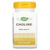 Nature's Way Choline 500Mg 100 Tablets, 200 g view 1