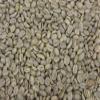 1KG Green Raw Hand Picked Tanzanian 100% Arabica Coffee Beans, Grade AA view 2