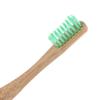 1 x E-Cron Bamboo Toothbrush (Green) with Eco-friendly, 100% organic and biodegradable toothbrush handle. Your Natural Dental Care with The clean and warm touch of The bamboo. view 2