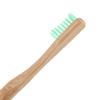 1 x E-Cron Bamboo Toothbrush (Green) with Eco-friendly, 100% organic and biodegradable toothbrush handle. Your Natural Dental Care with The clean and warm touch of The bamboo. view 3