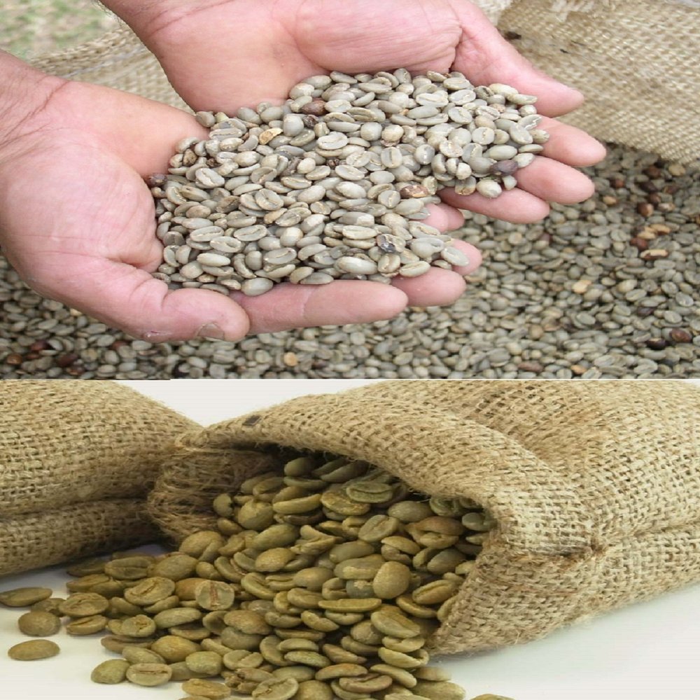 2KG Green Raw Hand Picked Tanzanian 100% Arabica Coffee Beans, Grade AA