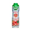Teisseire pink grapefruit syrup 60cl view 1