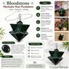 Crystalmiracle Bloodstone Merkaba Star Pendulum Crystal Healing Reiki FENG Shui Gift Jewelry Positive Energy view 3