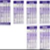 Cadbury Medium Stocking Chocolate Selection Box, 194g view 2