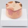 AW Skin Cancer Model (J55) view 1