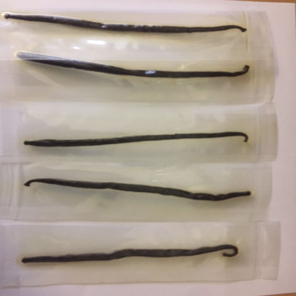 2 Madagascar Vanilla Pods Vanilla Bean Bourbon Premium Quality (2 Pods)