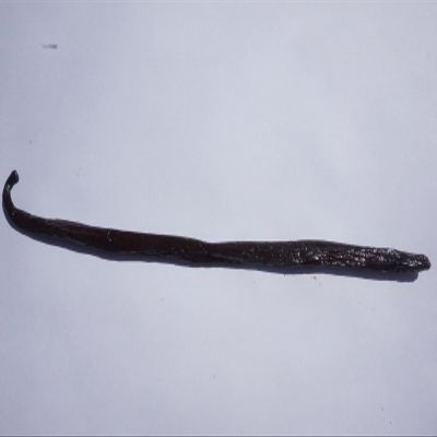 4 Madagascar Vanilla Pods Vanilla Bean Bourbon Harvest Premium Quality