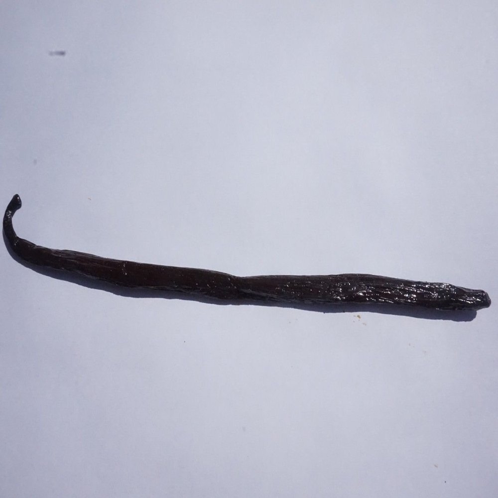 4 Madagascar Vanilla Pods Vanilla Bean Bourbon Harvest Premium Quality