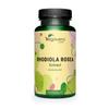 Vegavero Premium Rhodiola Rosea 200 mg | 3% Rosavins & 1% Salidroside | 120 Capsules | Herbal Adaptogenic Supplement | Rhodiolife | NO Additives | Vegan view 1