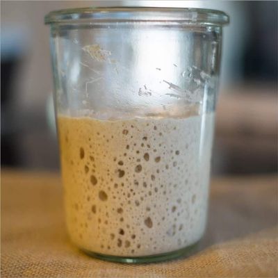 Certified Organic Live Sourdough Starter, Very Old and Mature - 46 year old Lake District Starter, Bread Starter - 80g for all types of flour with printed instruction by Kombuchaorganic