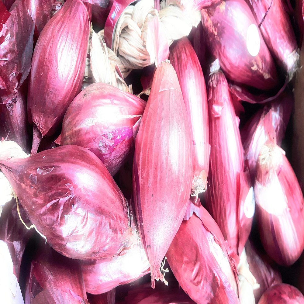 Onions of Tropea Kg. 2,5