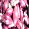 Onions of Tropea Kg. 2,5 view 1