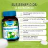 BACOPA Complex 60 COMP view 2